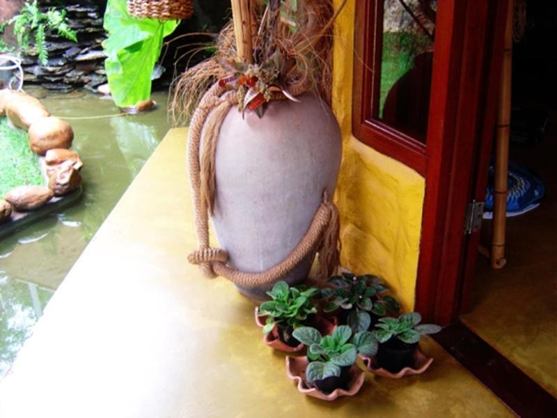 Pousada Bambu Brasil Sao Jorge  Luaran gambar